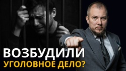 ВОЗБУДИЛИ УГОЛОВНОЕ ДЕЛО? Первые 24 часа решают ВСЁ! Инструкция от московского адвоката.